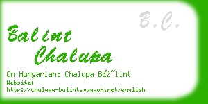 balint chalupa business card